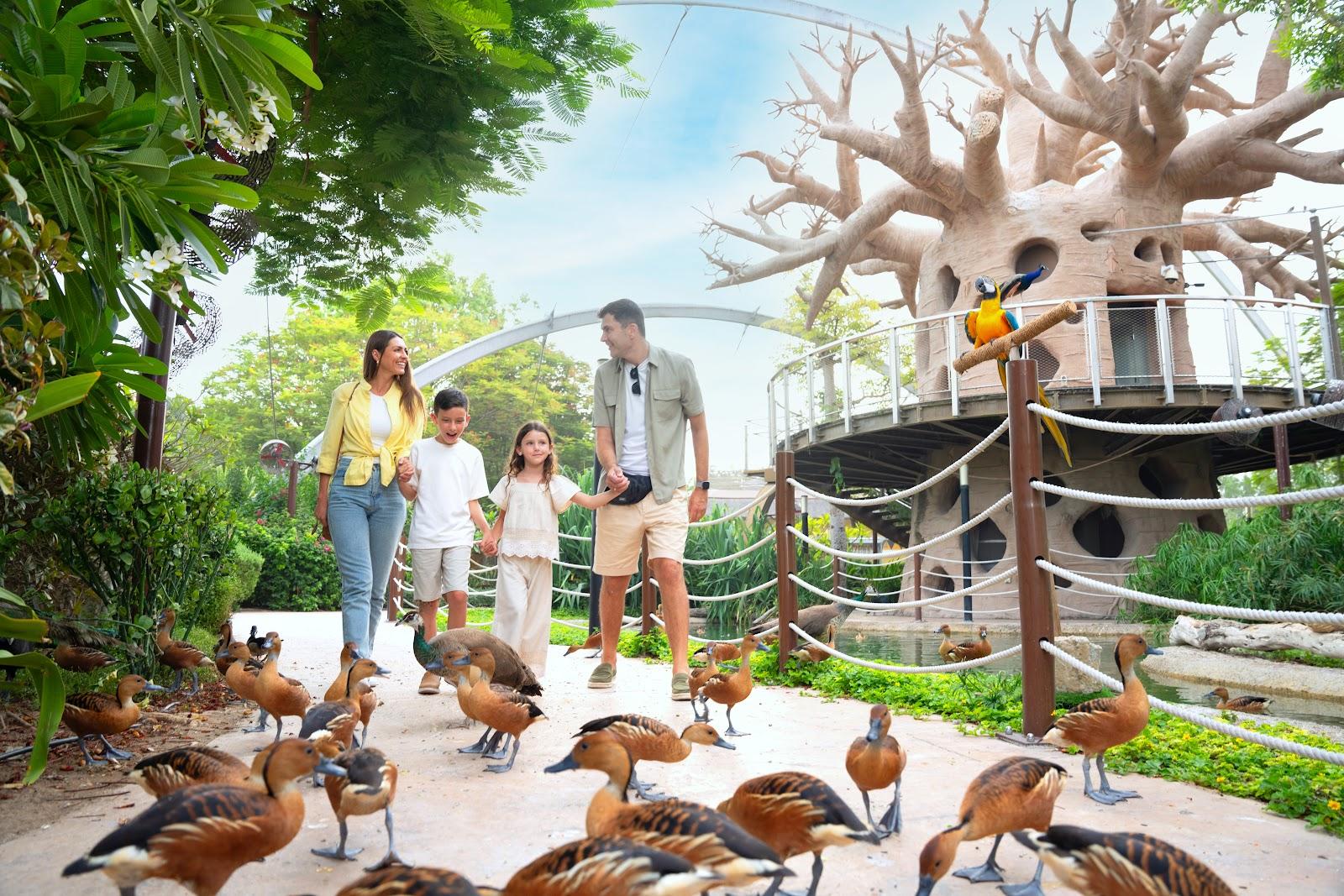 Roar & Explore: Safari Parks