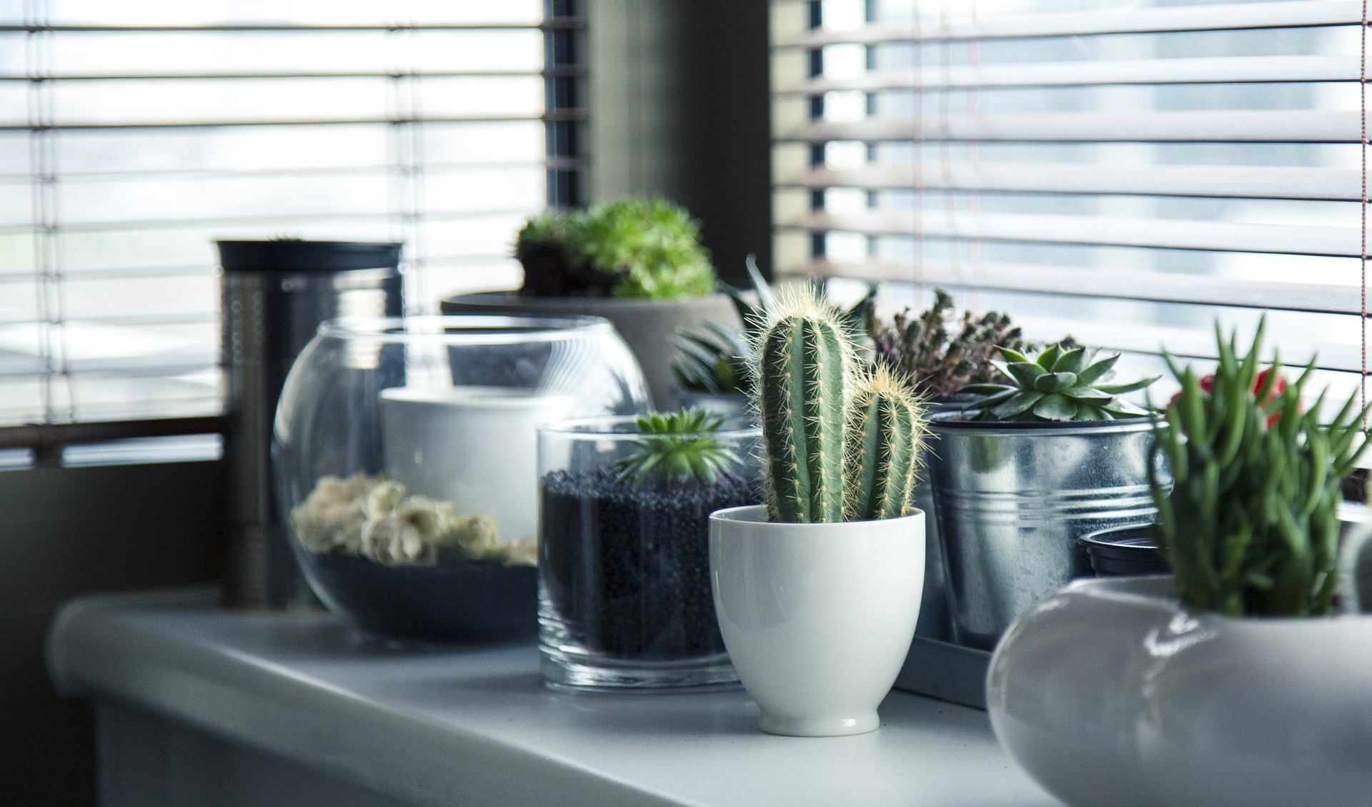 Indoor Garden Ideas - How to Make your Own Indoor Garden