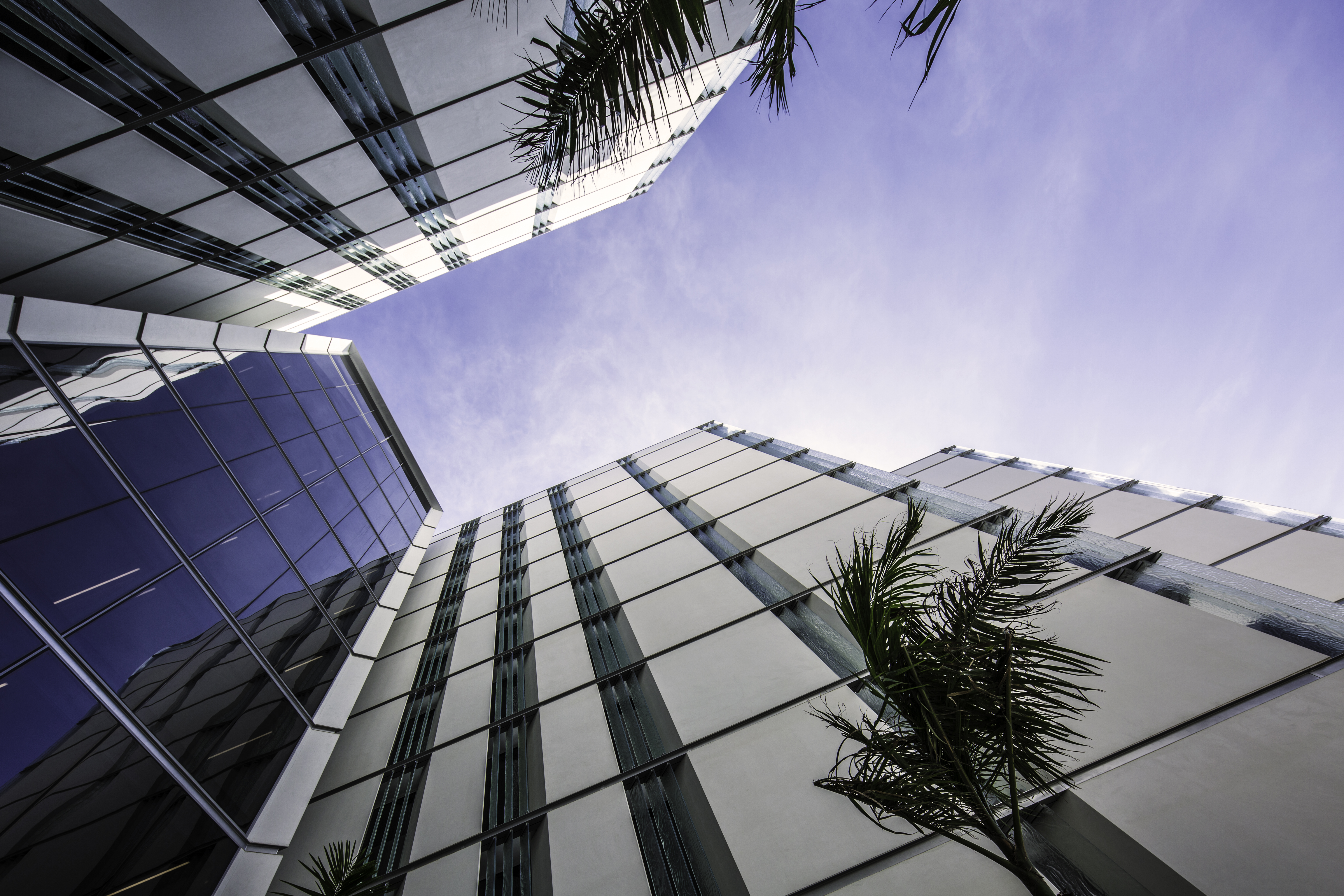 The Crescent Palm Jumeirah - Apartment Guide
