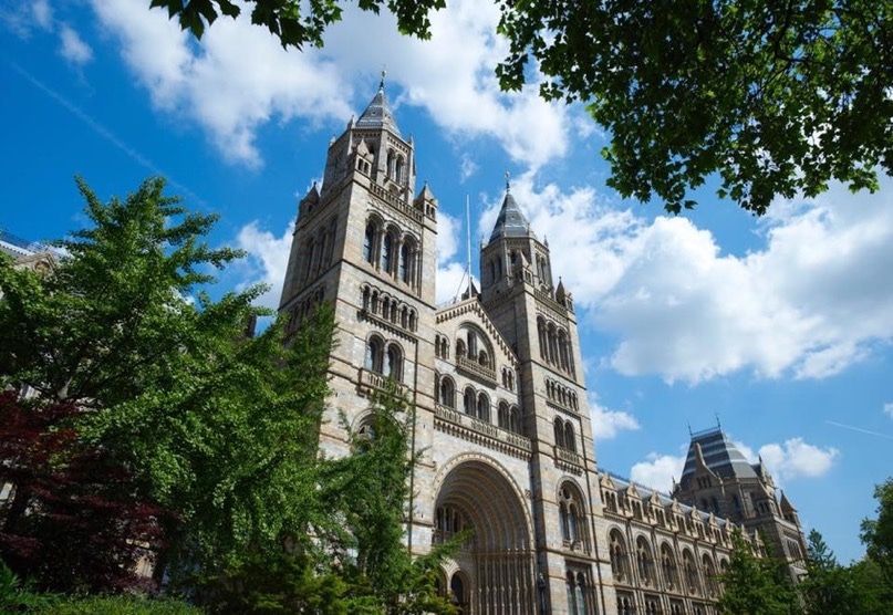 Natural History Museum in London, UK - All You need to Know