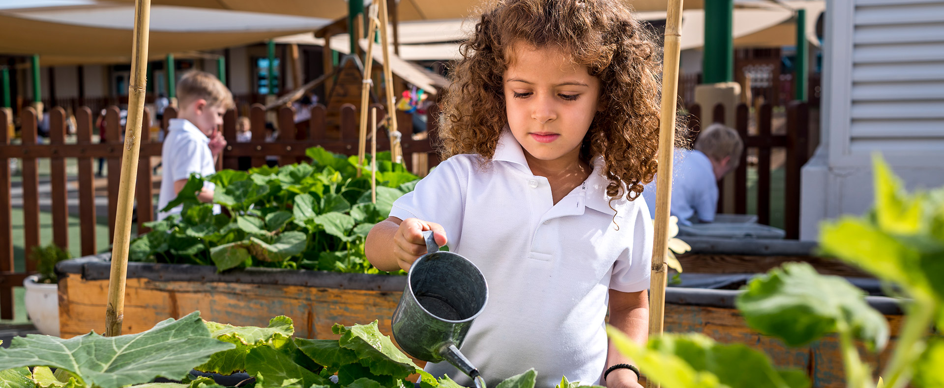 6 Best Schools in Dubailand