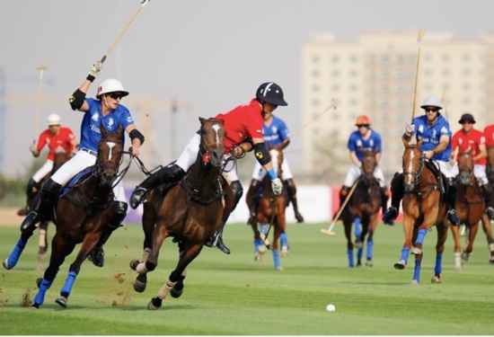 Best Areas in Dubai to Enjoy Polo Season