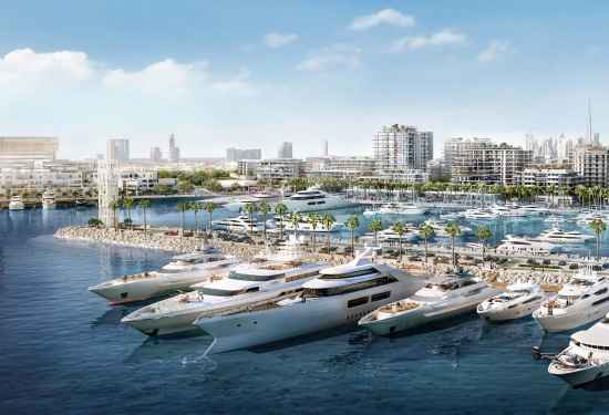 Community Guide: Mina Rashid