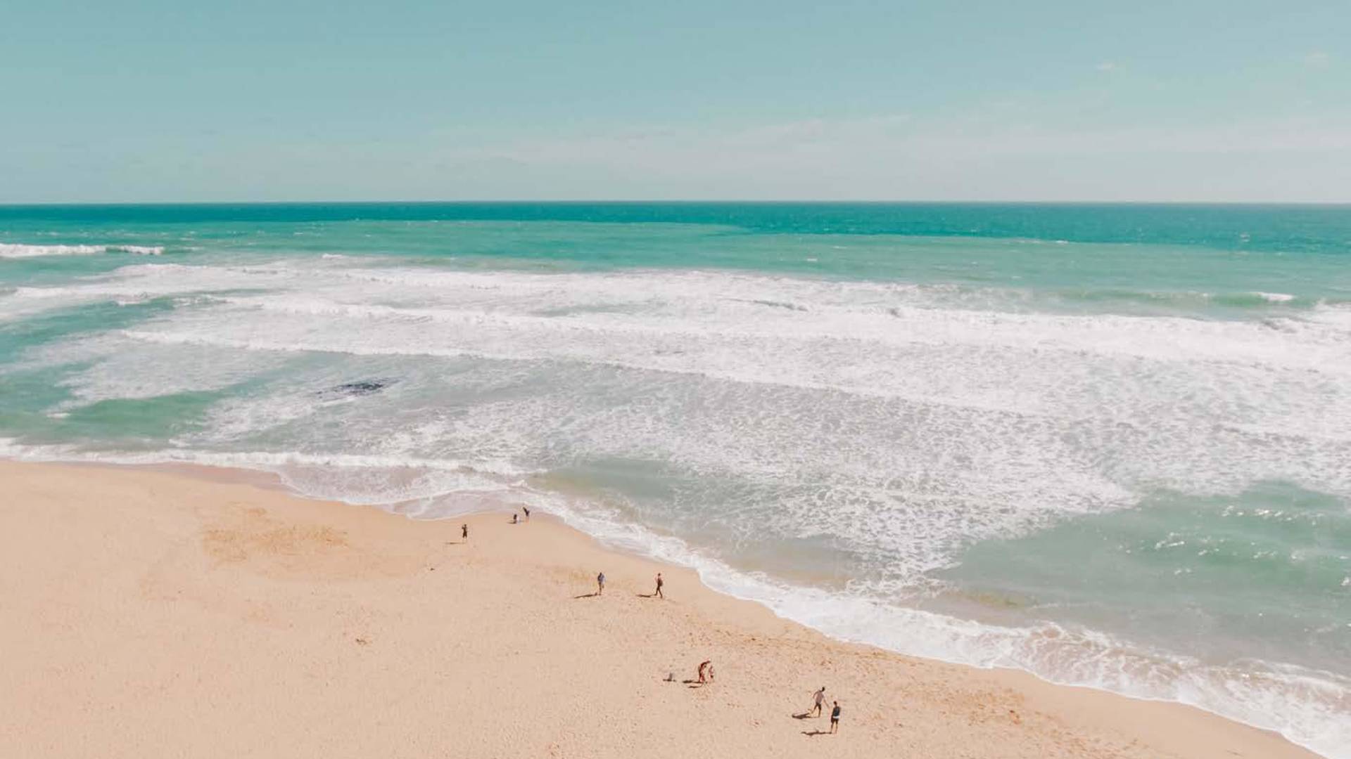 Al Jurf Gardens scenic tree-lined pathway, serene residential land for sale