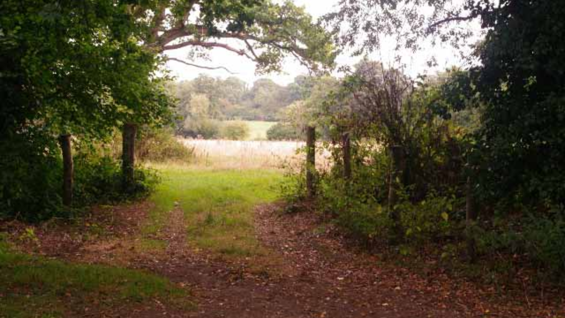 Plot of land for sale in Guildford, Surrey, ideal for farmhouse development