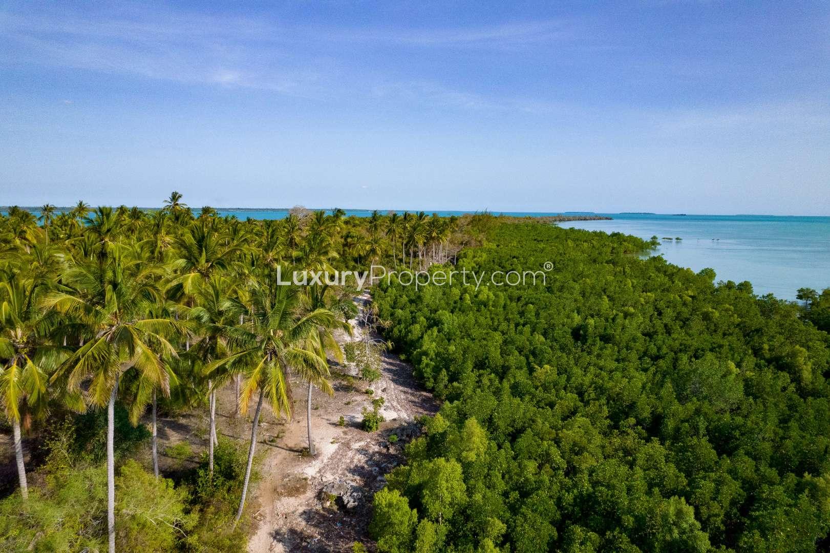 Exclusive private island for sale in Zanzibar, lush greenery and scenic coastline