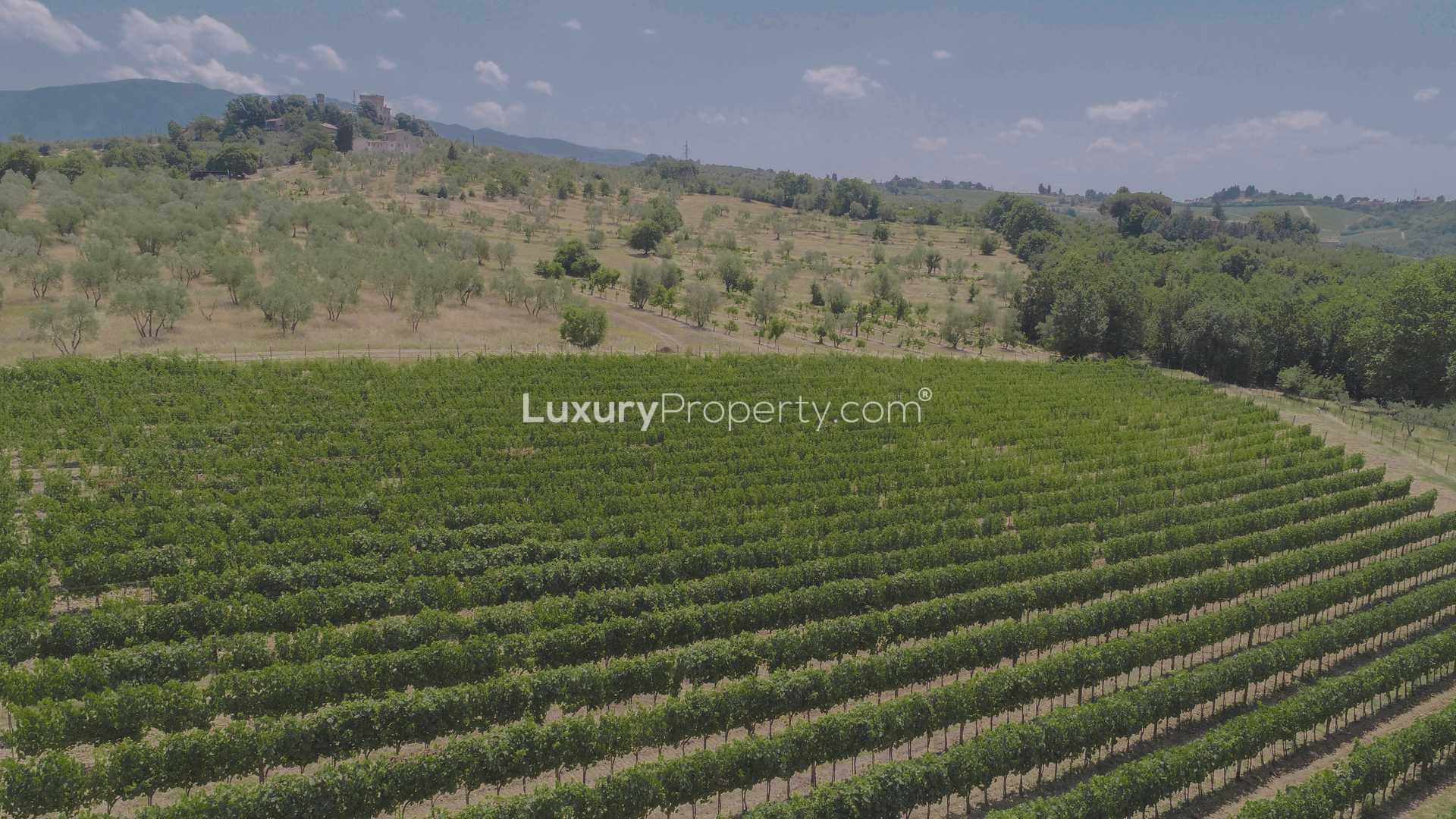 Aerial view of vineyard in Tenuta del Buon Vino, Florence, near Renaissance Villa for sale