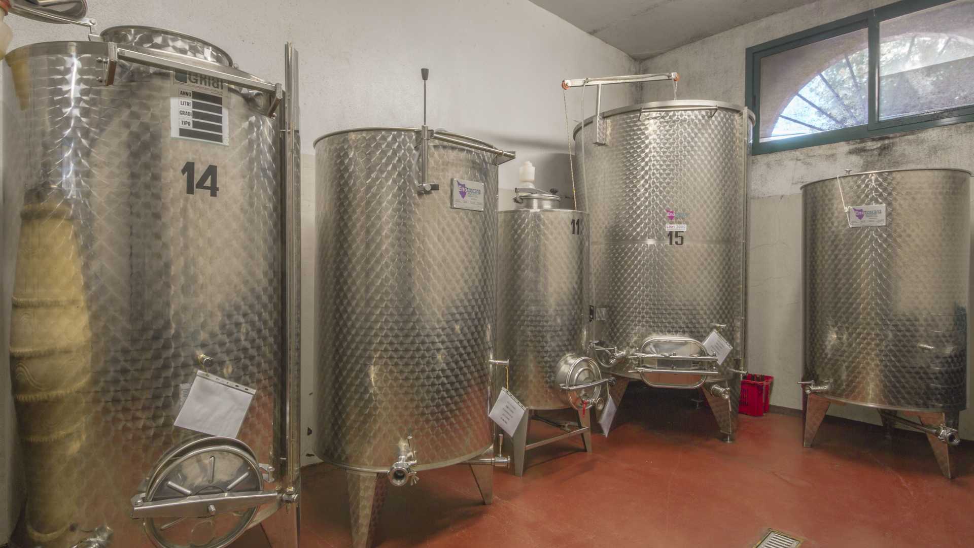Aerial view of vineyard at Tenuta del Buon Vino Estate, Florence, near Renaissance villa