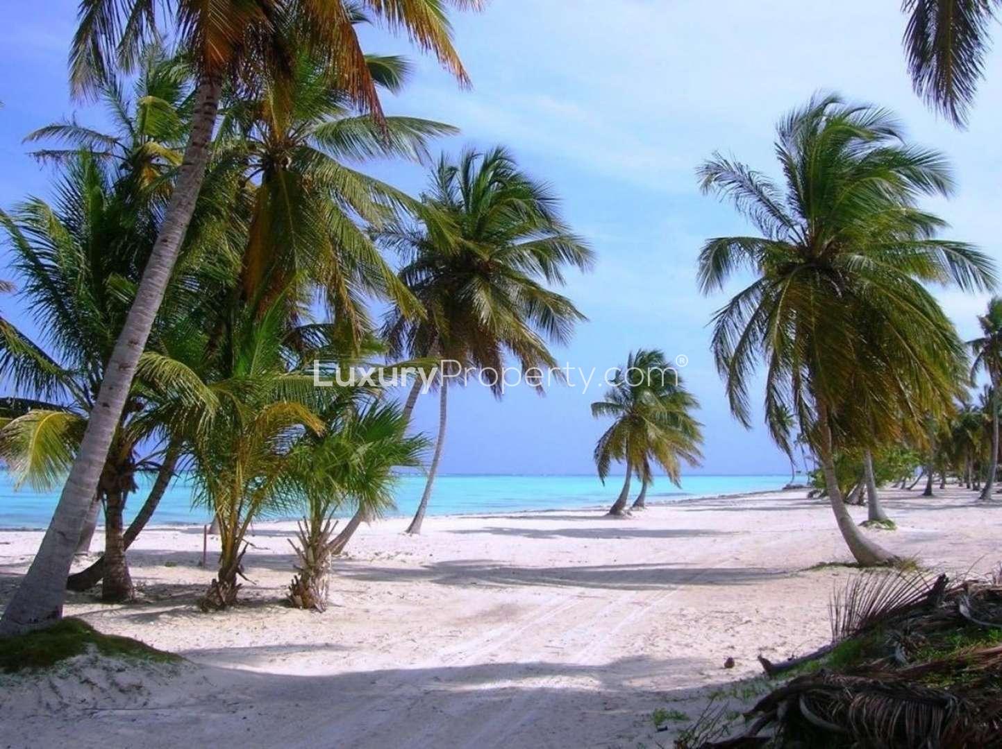 Beachfront land with palm trees in Juanillo Bay, Cap Cana, Punta Cana for sale