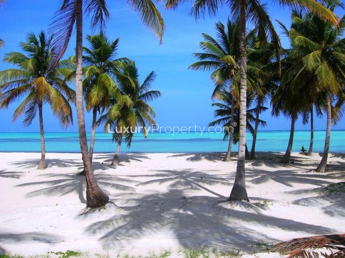 Exclusive beachfront plot with palm trees in Juanillo Bay, Cap Cana for sale