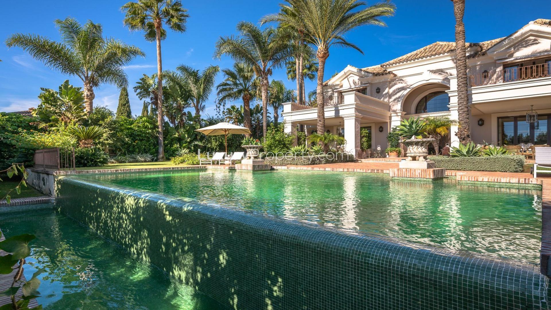 Luxury Guadalmina Baja villa with pool, palm trees, and sun loungers for sale