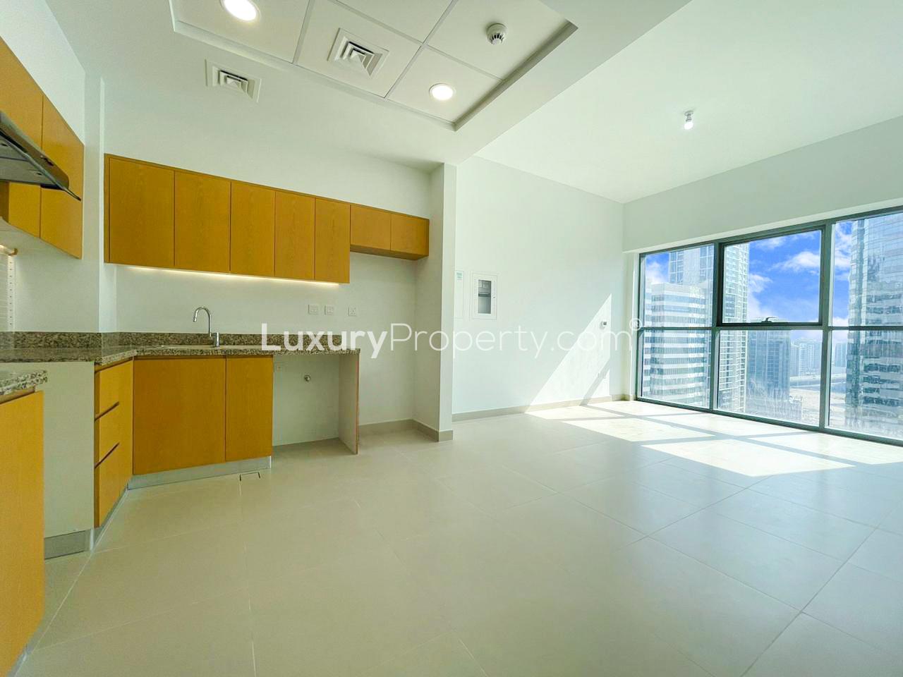 Modern kitchen in 1-bedroom apartment, Bellevue Towers, Downtown Dubai, granite countertops, wooden cabinets
