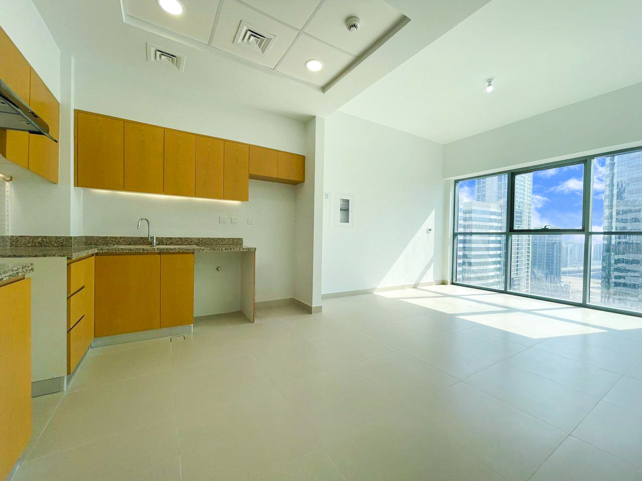 Modern kitchen in 1-bedroom apartment, Bellevue Towers, Downtown Dubai, granite countertops, wooden cabinets