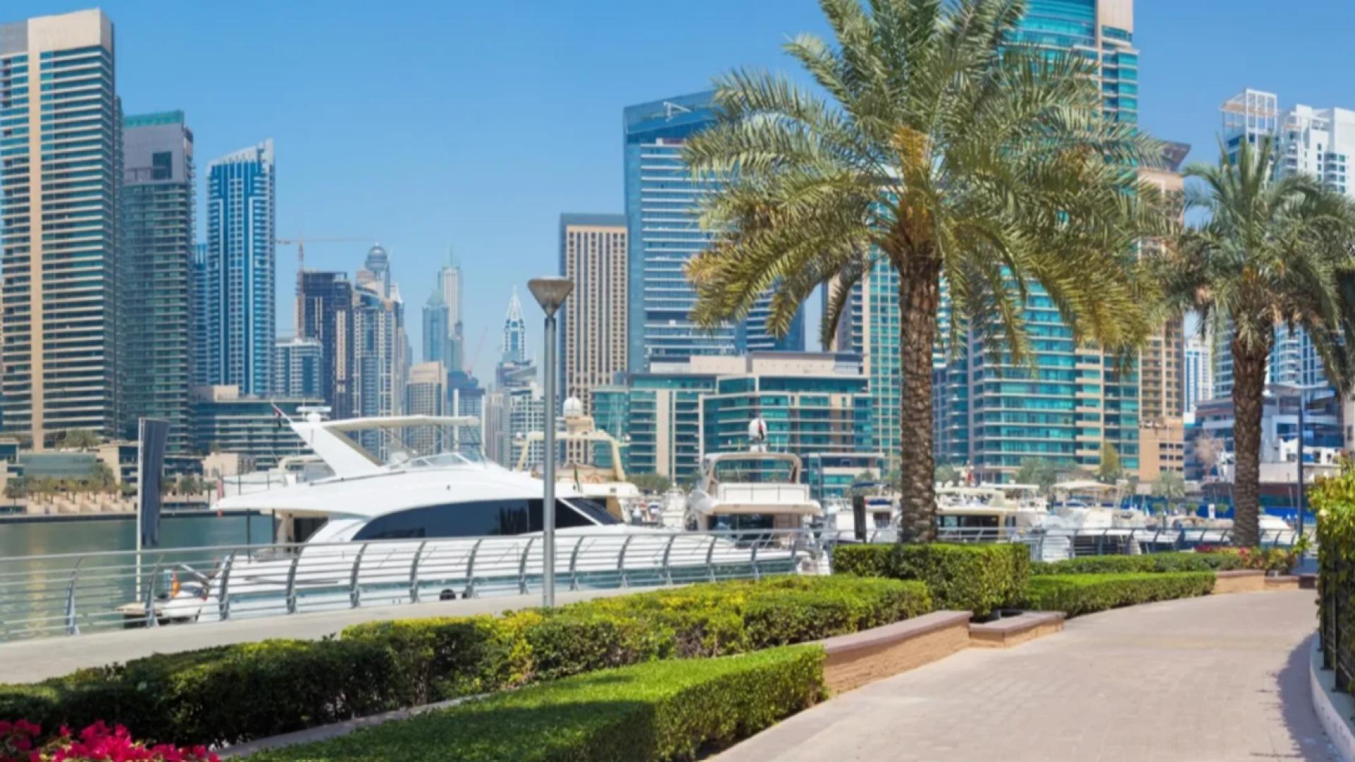 Modern apartment building with pool and garden in Pelagos, Dubai Marina