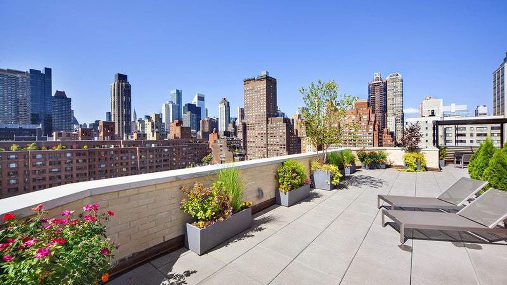 Modern living room in one-bedroom apartment, Manhattan, with natural light and stylish furnishings