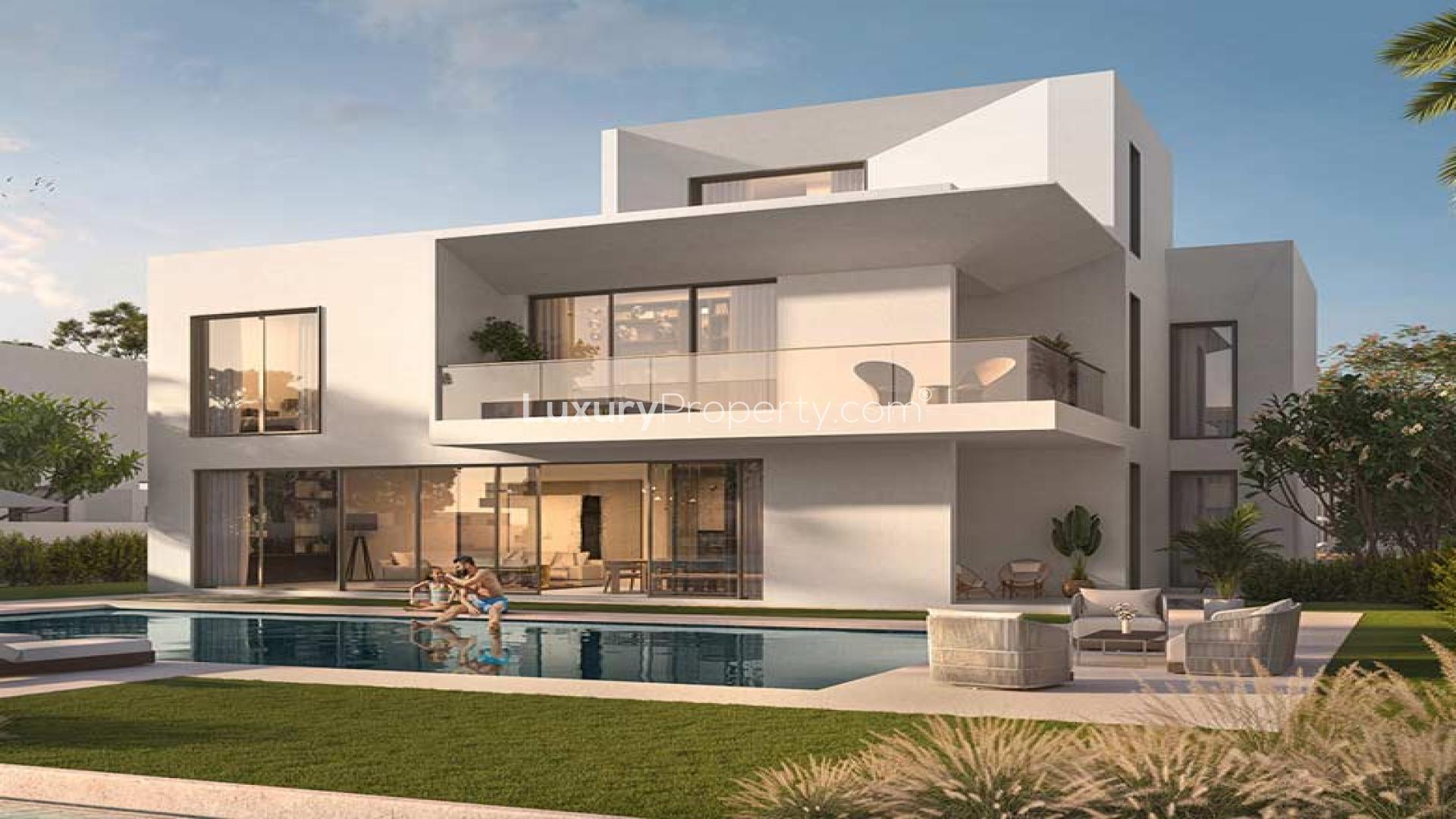 Palmiera Collective 2