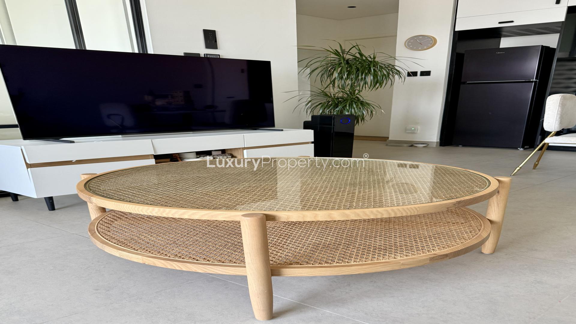 Contemporary living room in Dubai Hills Estate apartment, stylish decor and natural elements