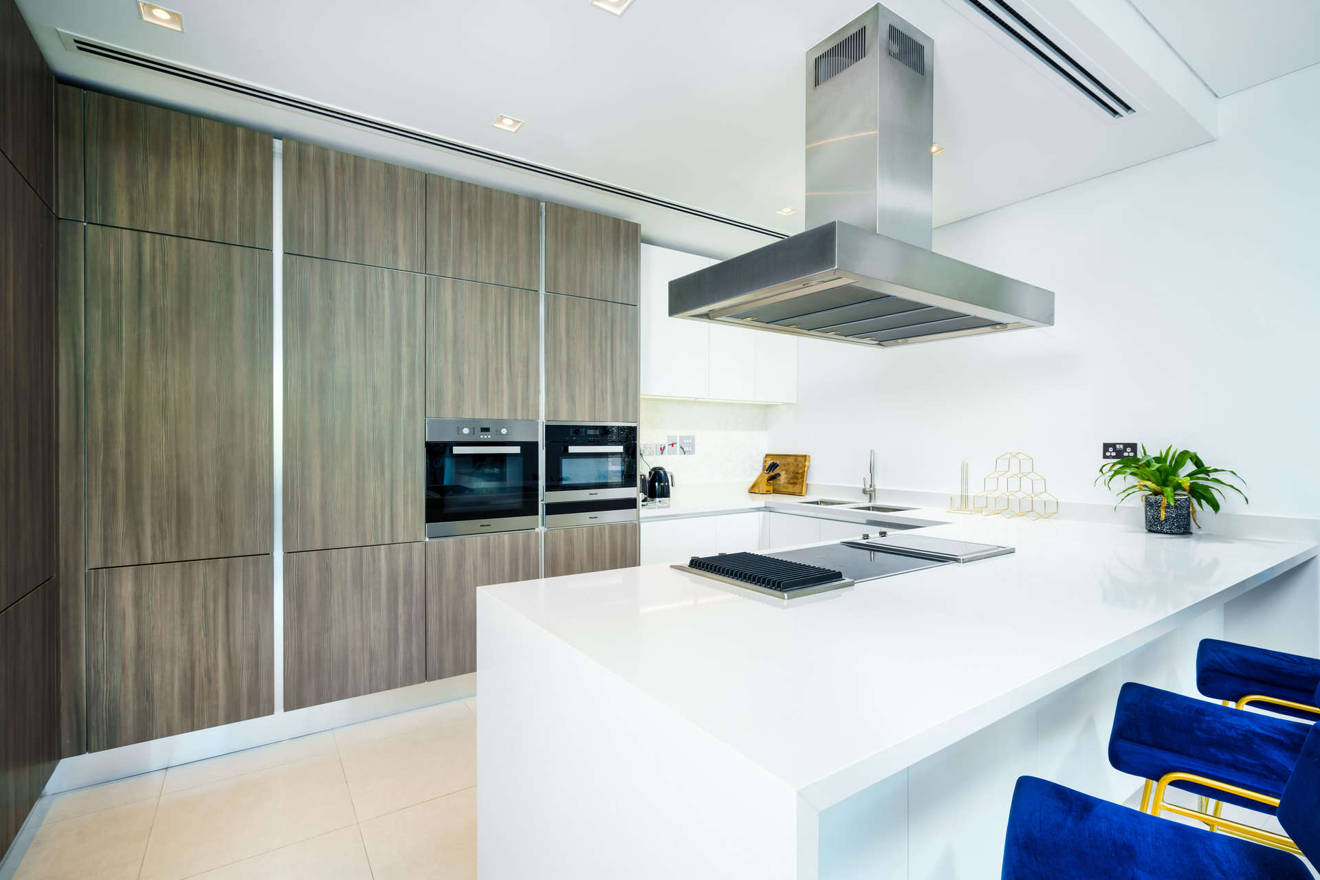 Lush garden view at Ashjar, Al Barari apartment for sale, featuring serene water stream