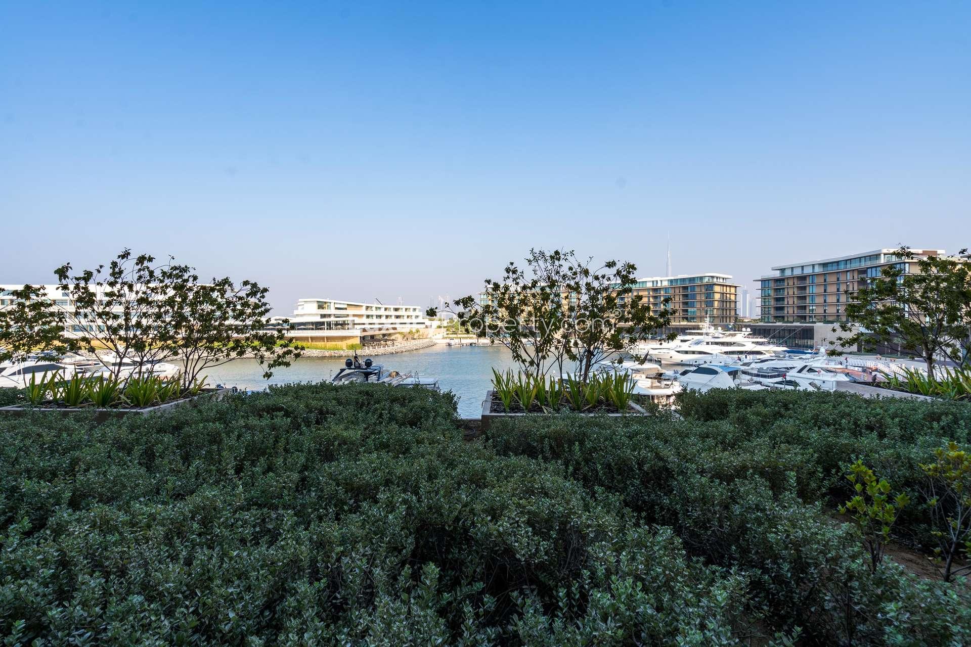 Sunny terrace view at Bulgari Residences, Jumeirah Bay Island apartment, showcasing lush greenery