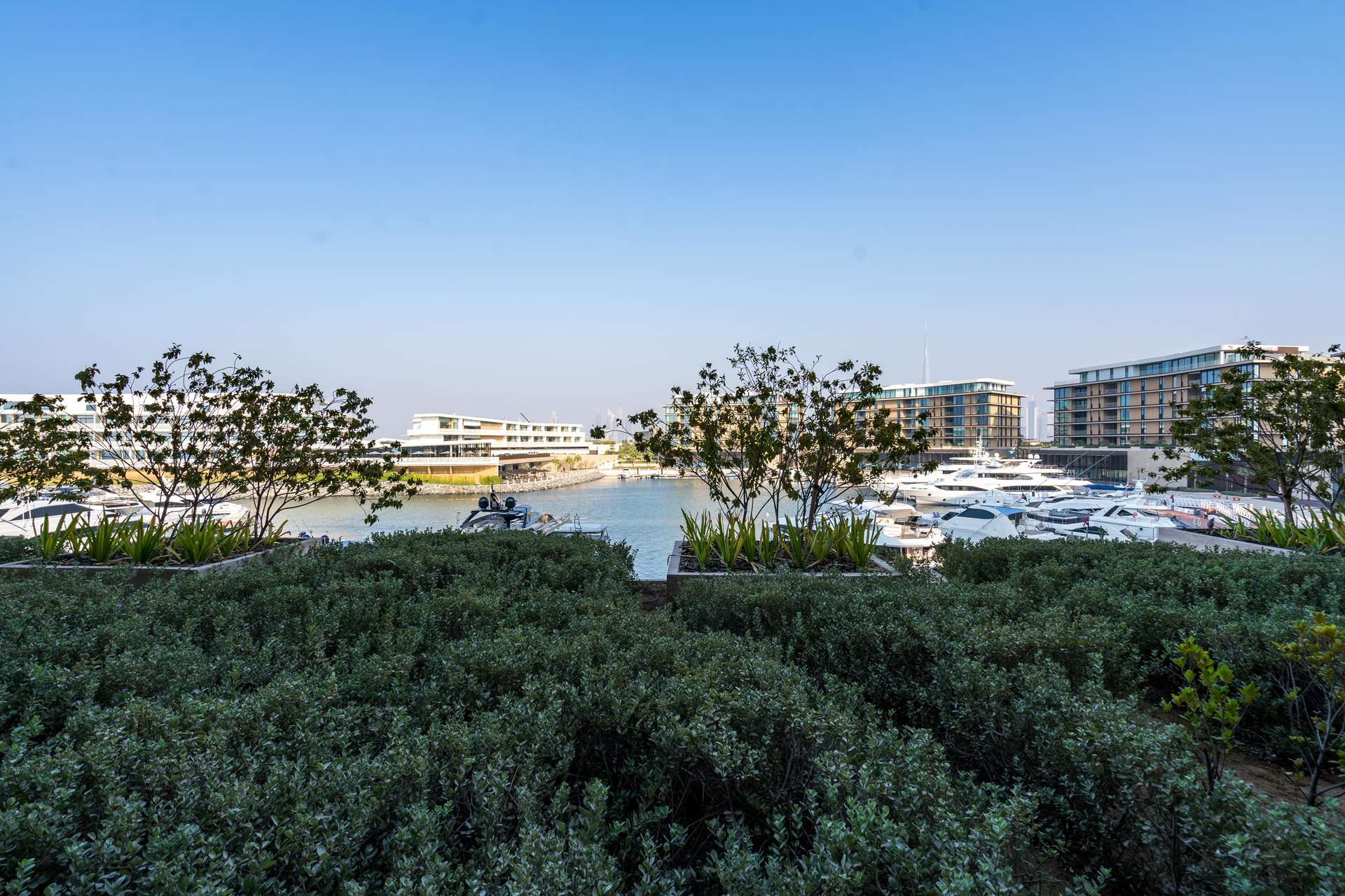 Sunny terrace view at Bulgari Residences, Jumeirah Bay Island apartment, showcasing lush greenery