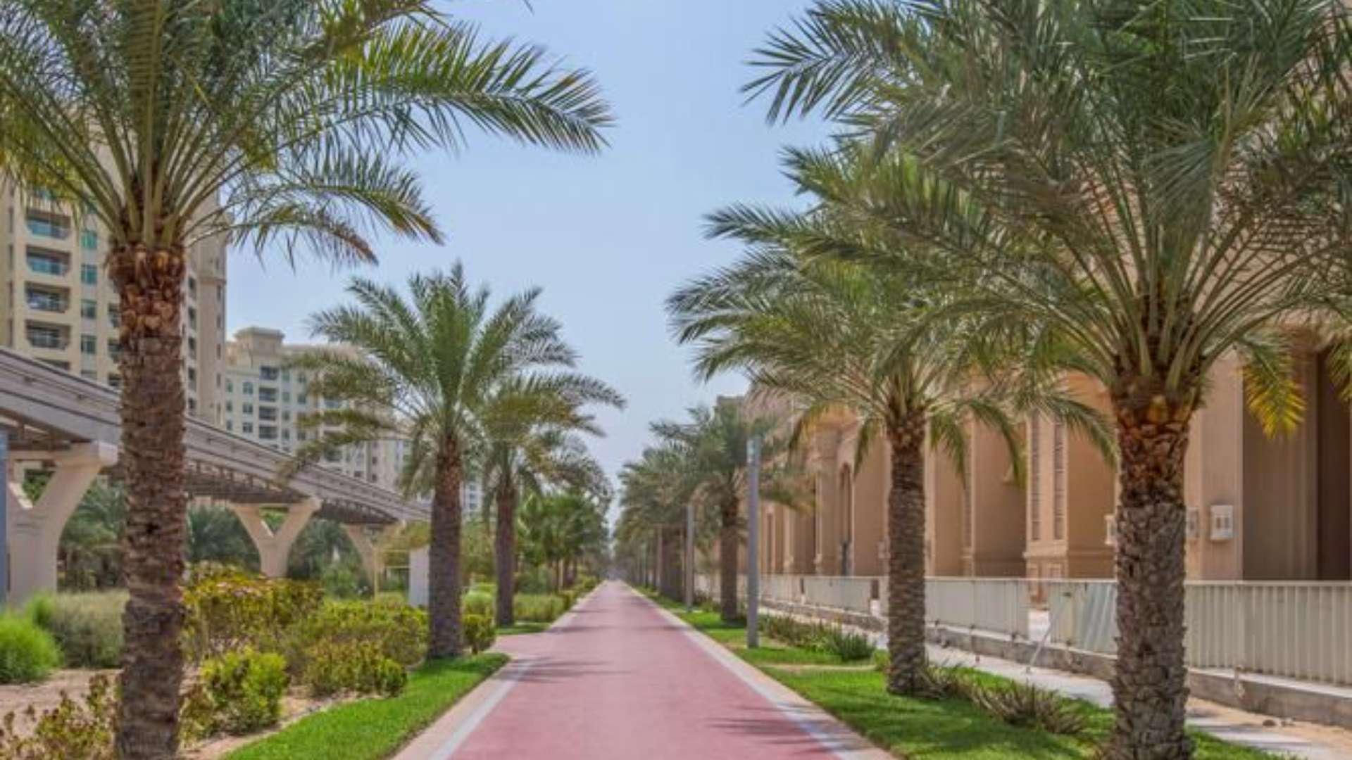 Park-facing Shoreline Apartments view in Palm Jumeirah, Dubai, for sale