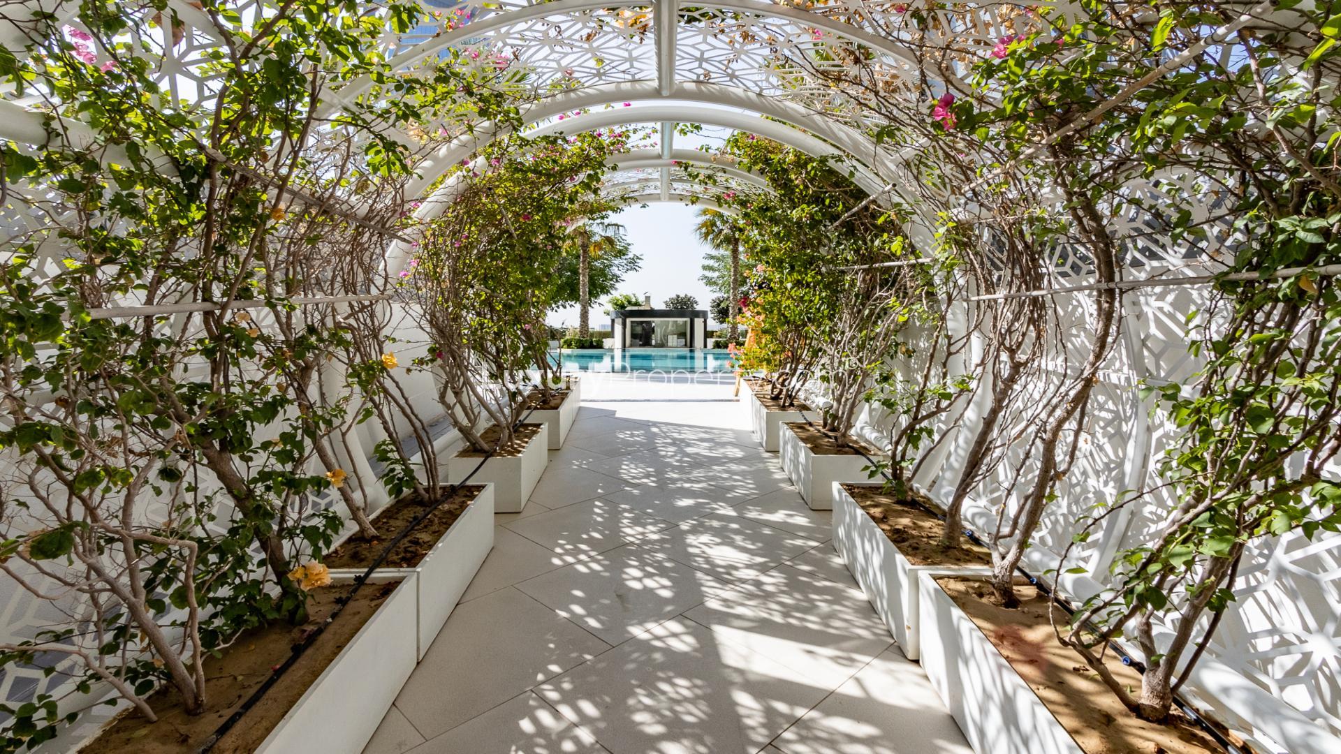 "Luxury Hameni Tower apartment pool with lush greenery, Jumeirah Village Circle community view.",Pathway with lush greenery leading to pool in Hameni Tower, Jumeirah Village Circle