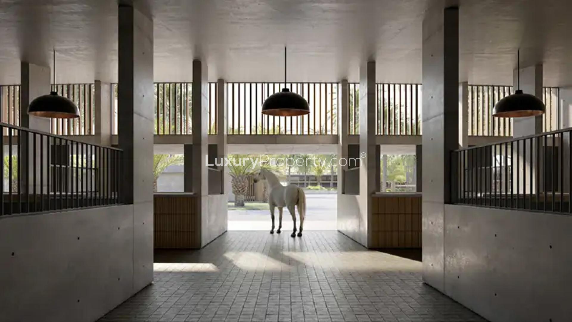 About Grand Polo Club & Resort