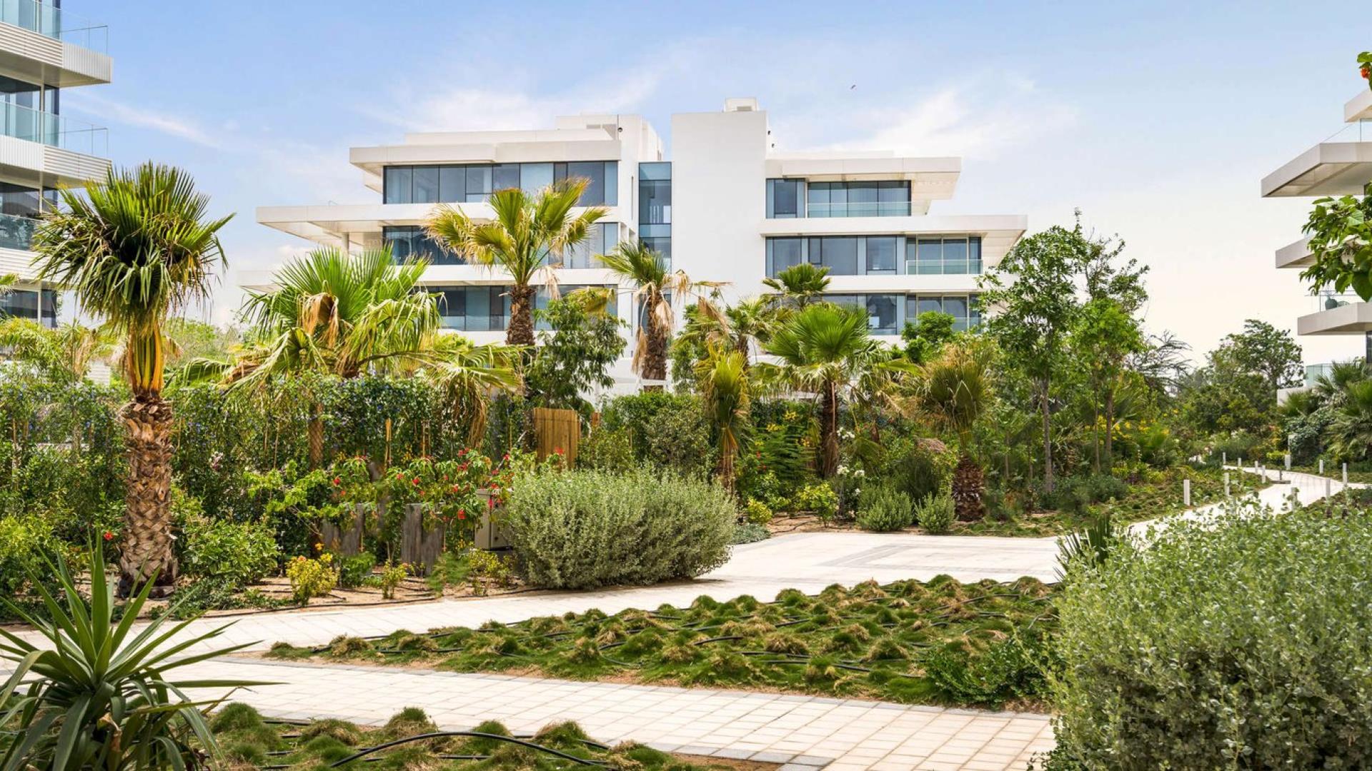 Brand new spacious living room in Ashjar, Al Barari apartment for rent, large windows