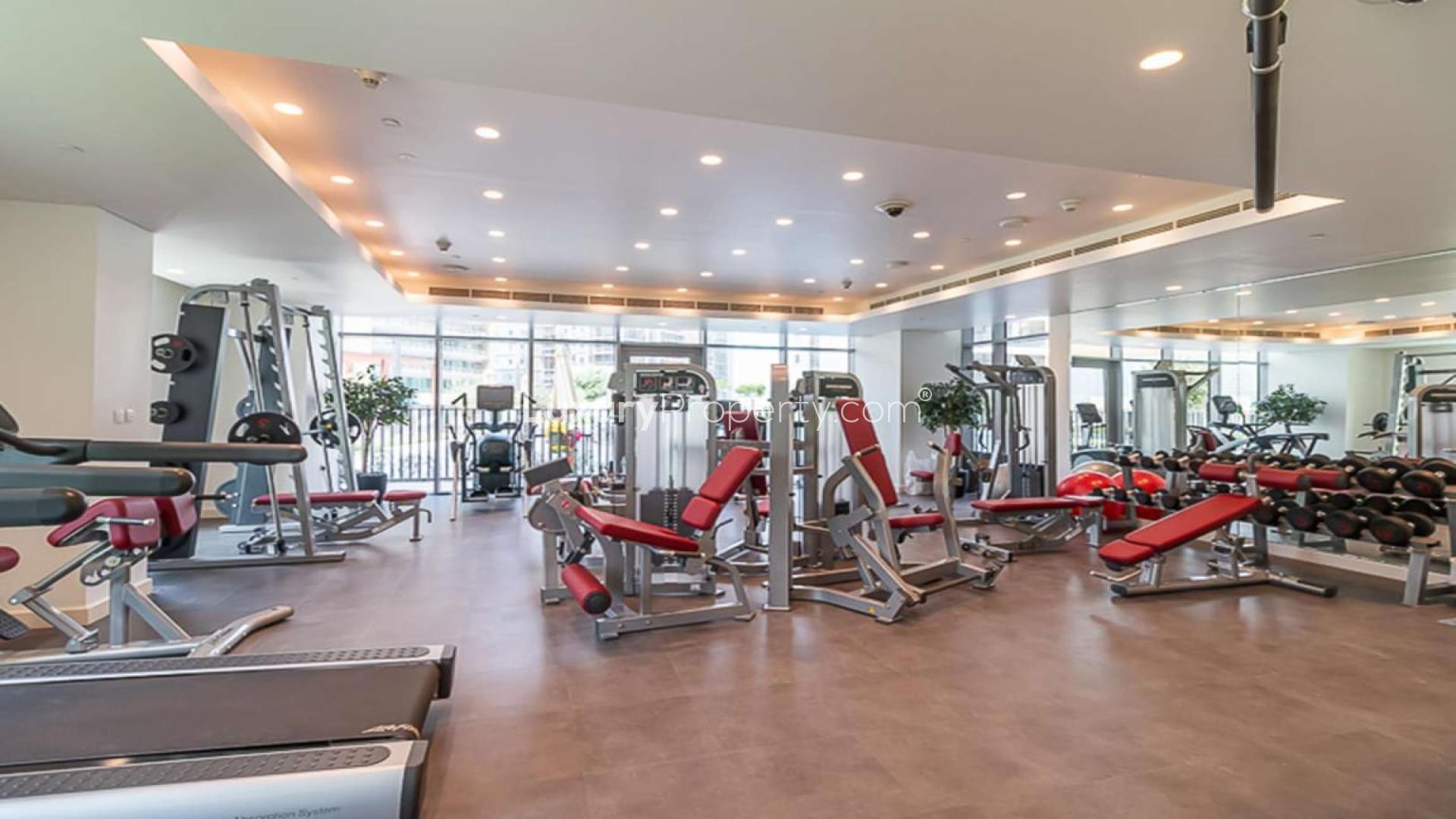 Modern gym in BLVD Crescent, Downtown Dubai apartment for sale, Ref No: LP05965