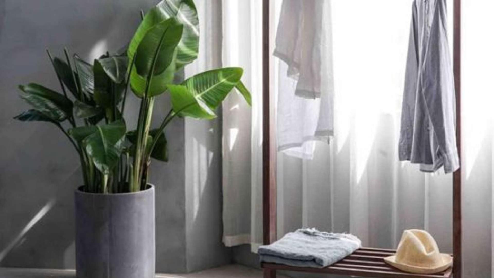 Brand new 4-bedroom townhouse exterior in Camelia, Arabian Ranches 2, with modern design