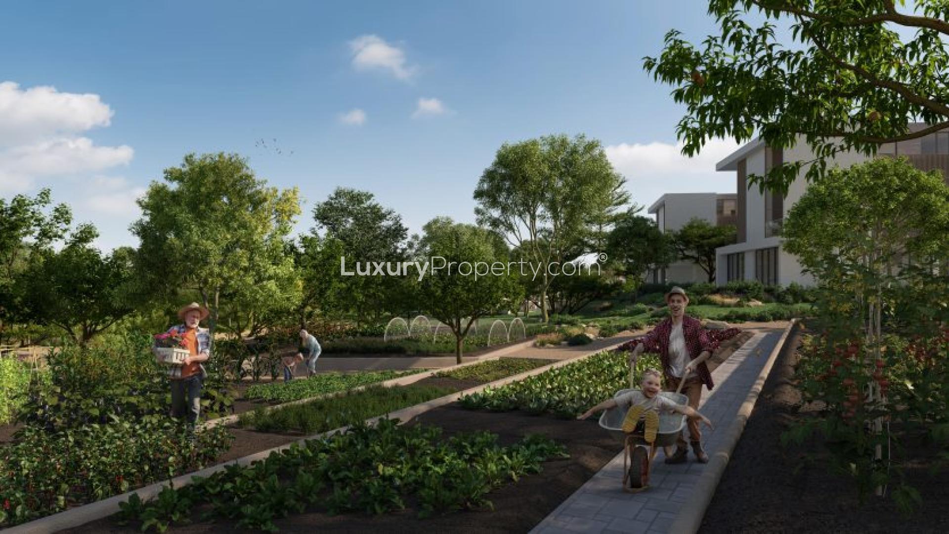 About Expo City