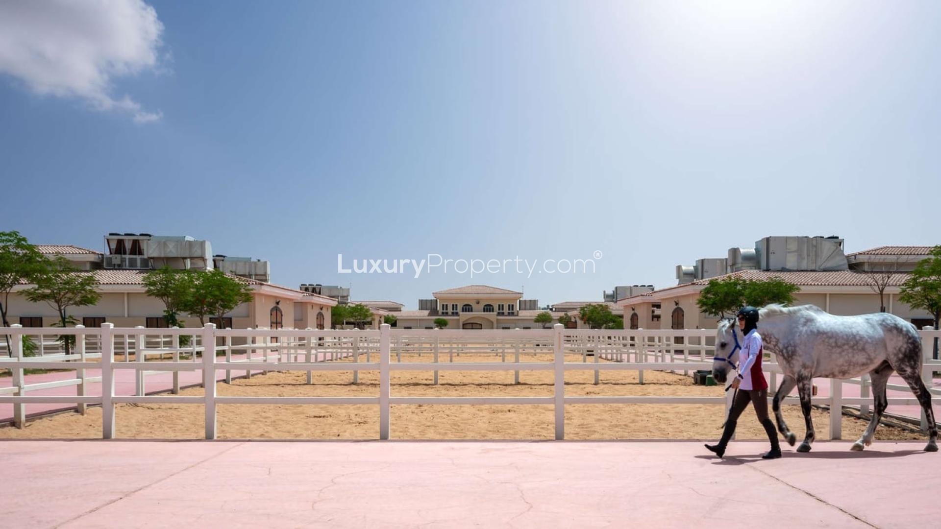 Modern kitchen in luxury villa at Al Habtoor Polo Resort, Dubai Land