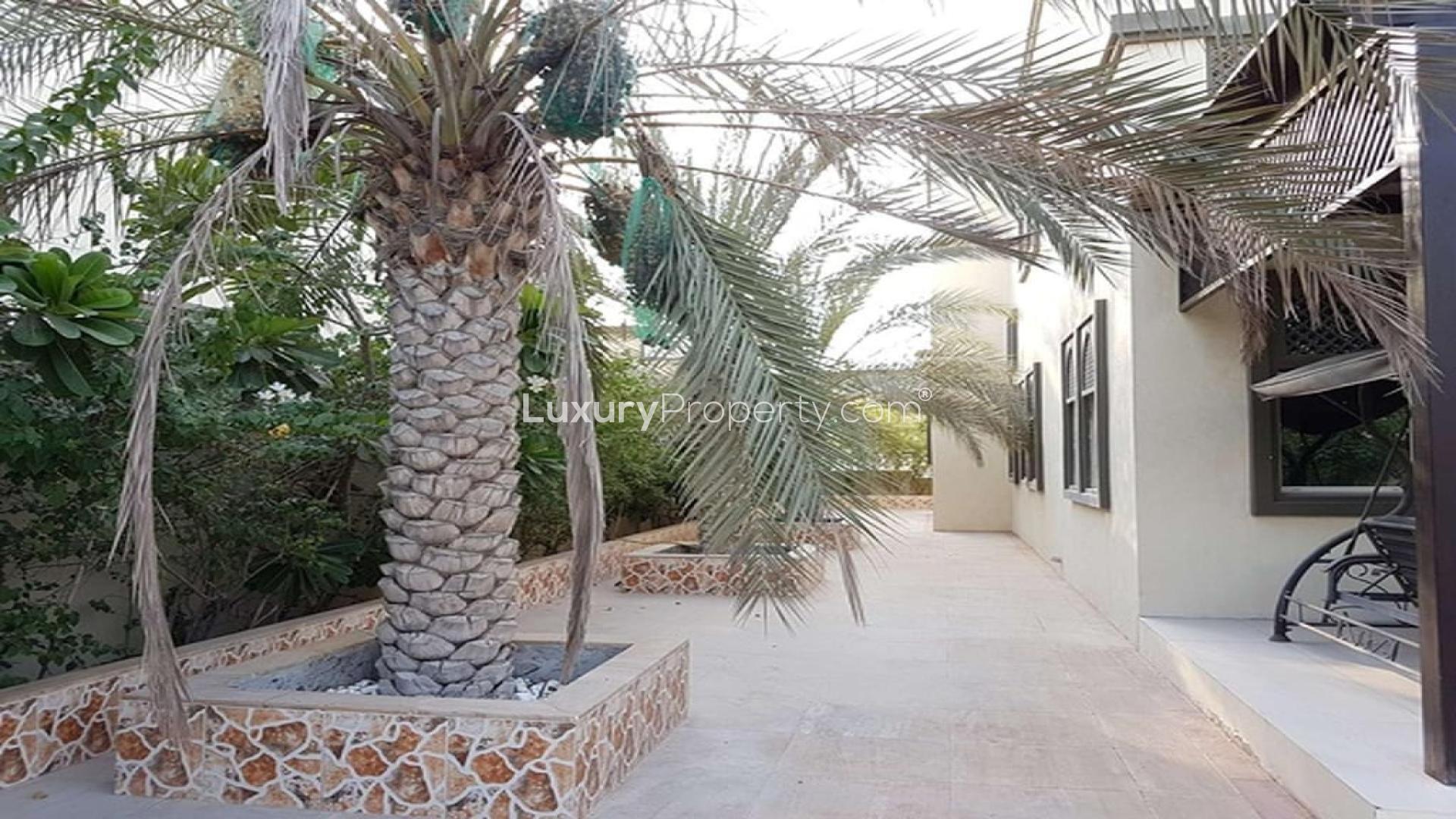 Upgraded 5-bed villa with pool in Jumeirah Park Regional, available for rent