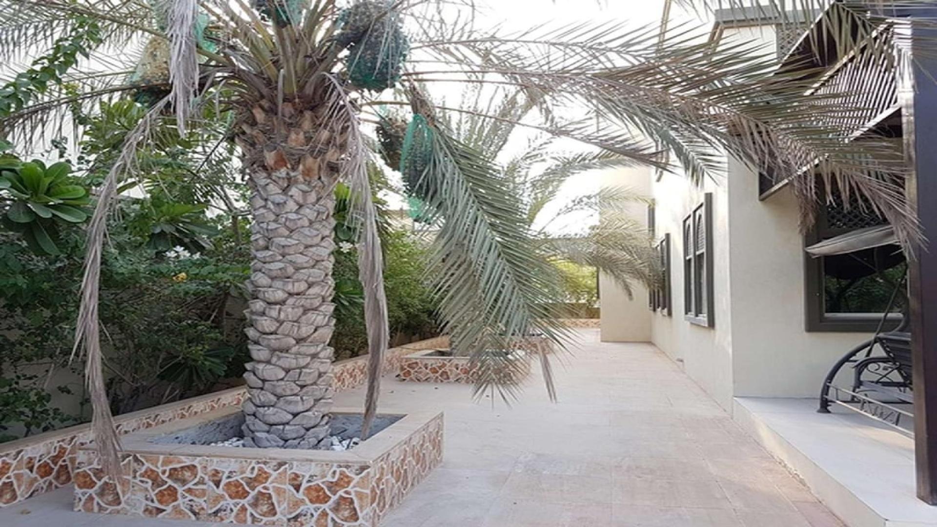 Upgraded 5-bed villa with pool in Jumeirah Park Regional, available for rent