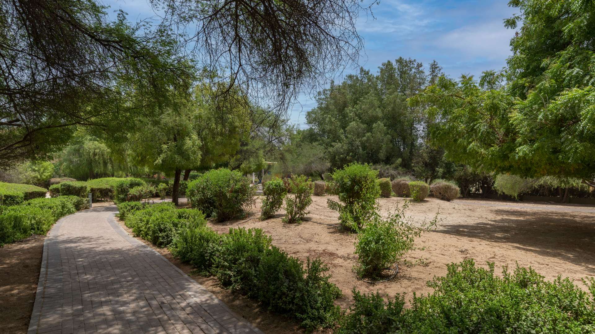 Park view from 4-bedroom villa for rent in Saheel, Arabian Ranches with private pool