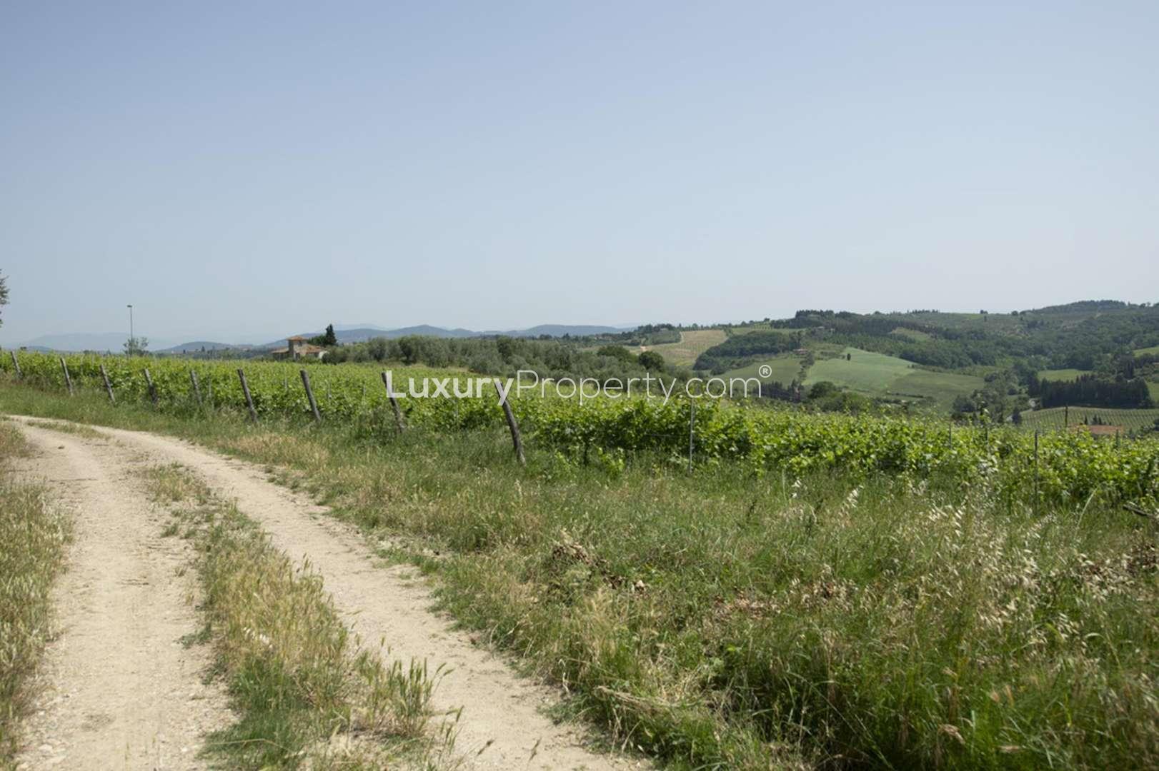 Scenic vineyards near 13th-century castle in Castello Fiorentino, Florence, for sale