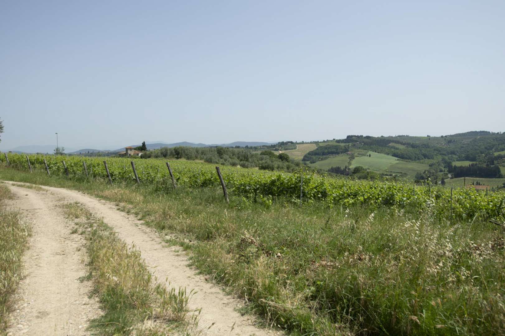 Scenic vineyards near 13th-century castle in Castello Fiorentino, Florence, for sale