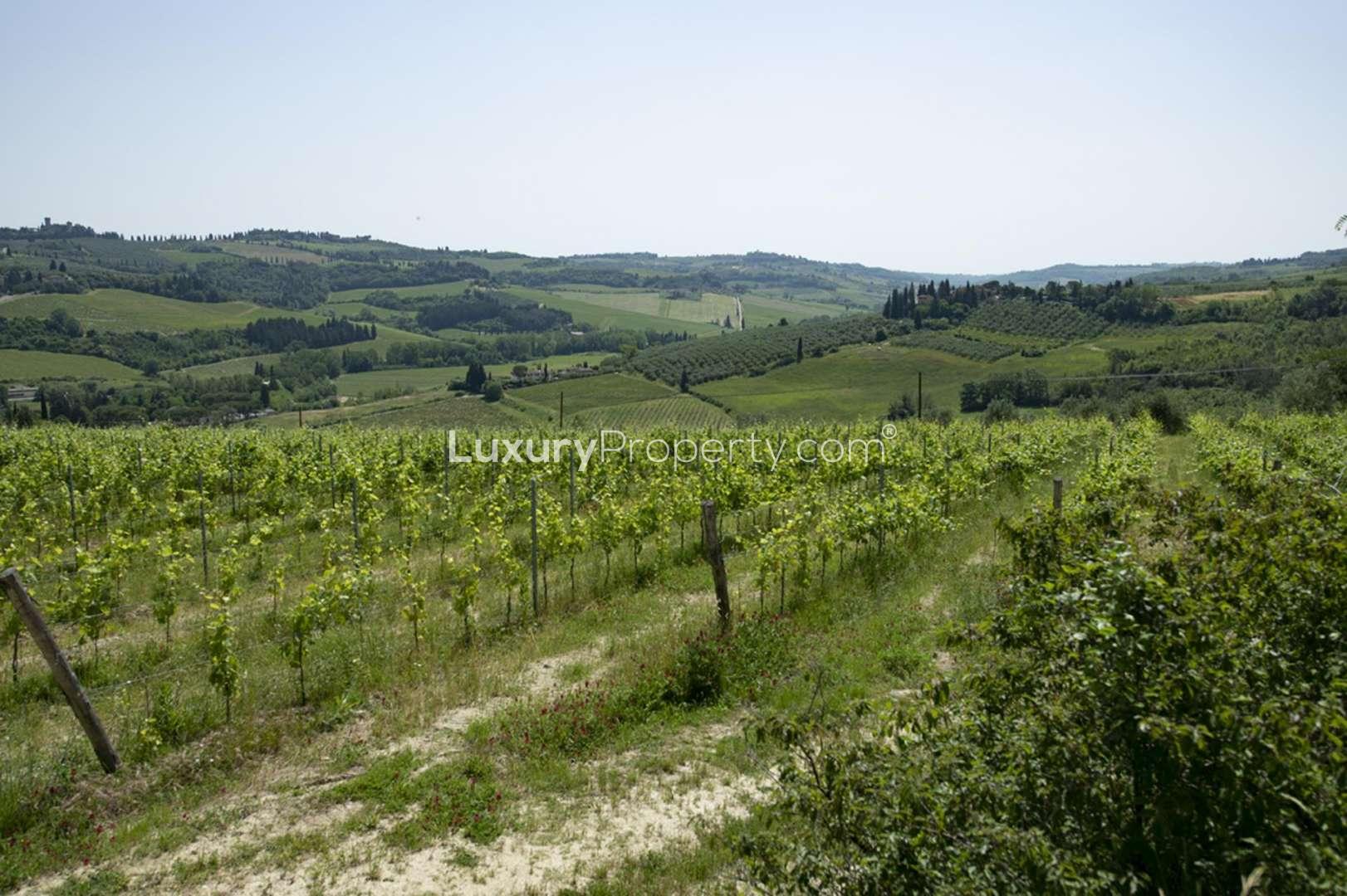 13th Century Castle in Castello Fiorentino, Florence, surrounded by lush greenery