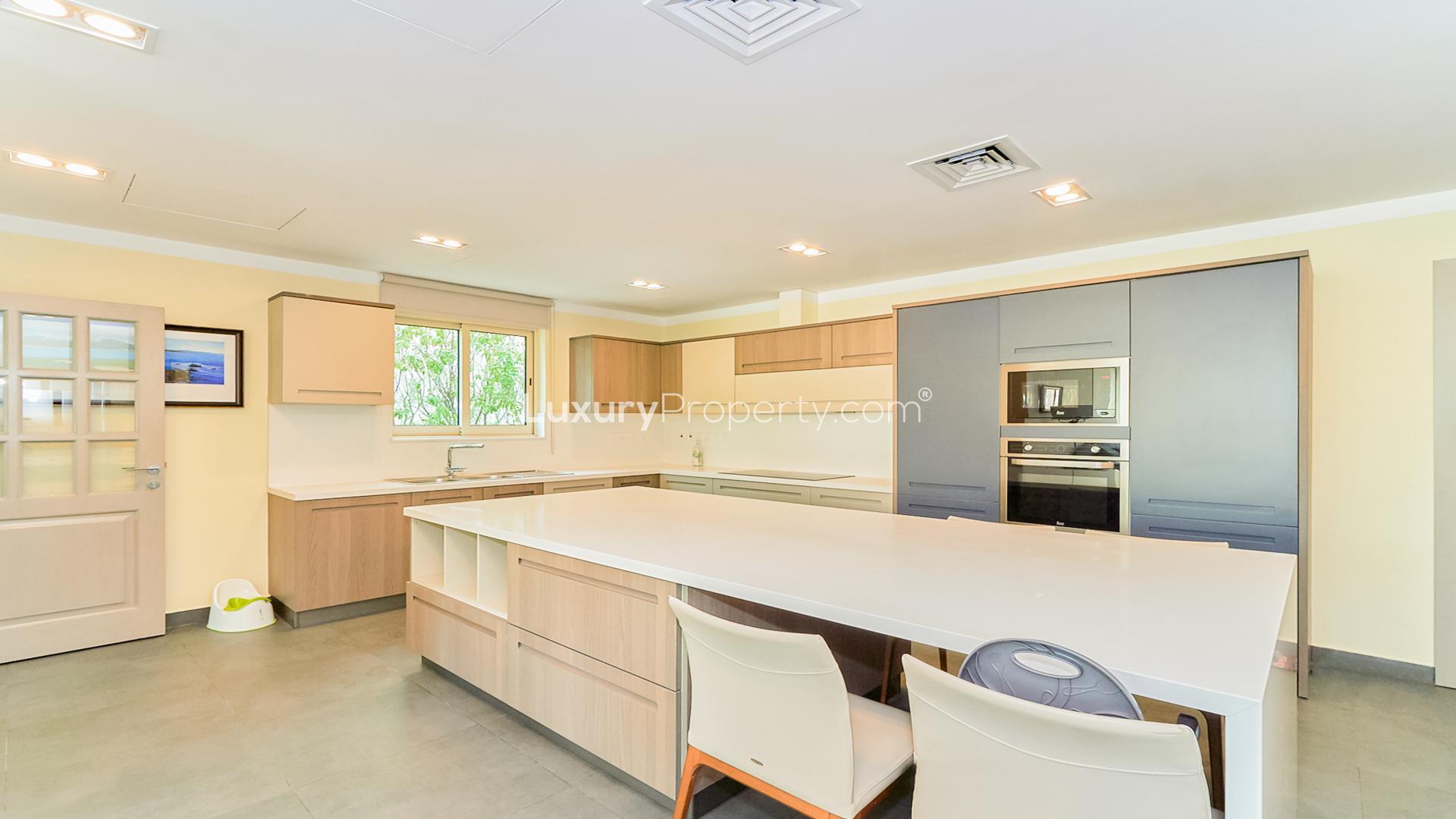 Beautiful garden view of a contemporary villa in Jumeirah Islands, European Clusters