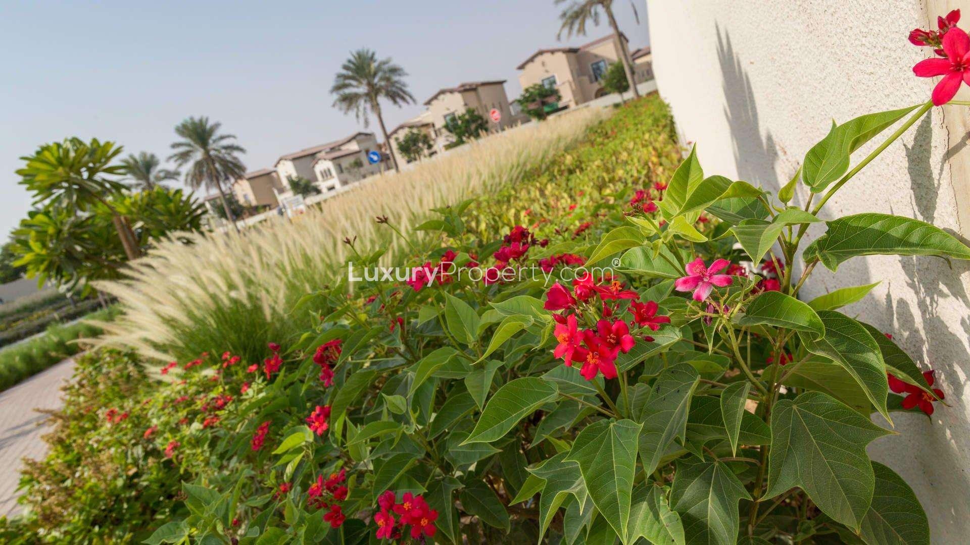 Playground area at Palma Villa, Arabian Ranches 2, Dubai, showcasing vibrant play structures