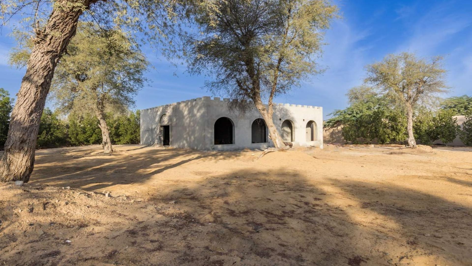 Under-construction villa in Al Awir Village, Dubai, with palm trees and open sky