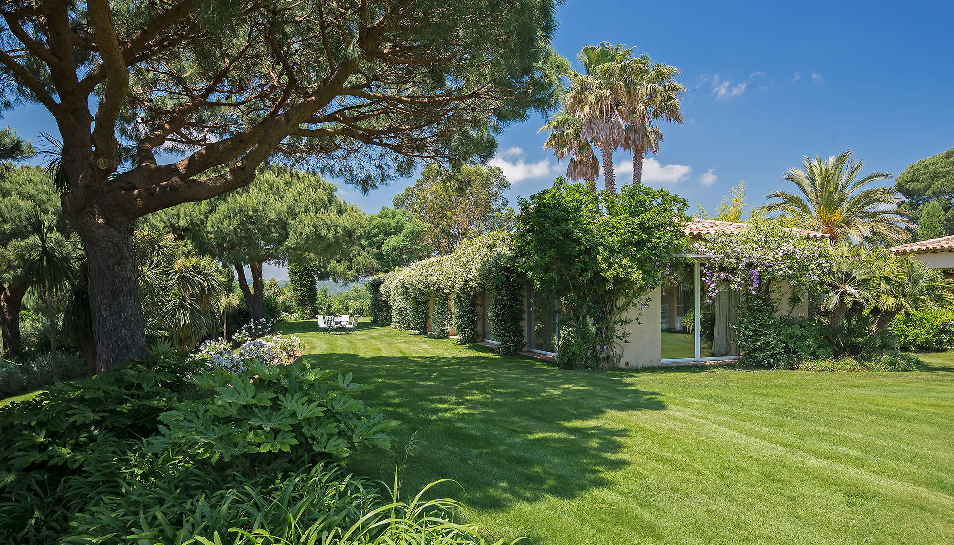 Luxury villa poolside view in Cap Camarat, Ramatuelle, French Riviera, surrounded by greenery