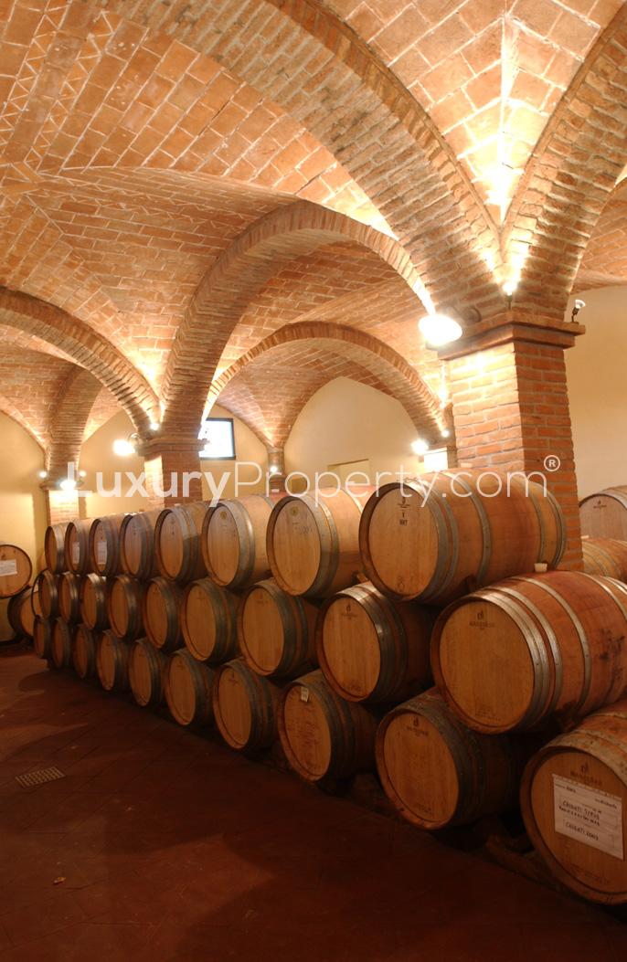 Vineyard view at 7-bedroom villa, Beautiful Winery, Florence Tuscany, for sale