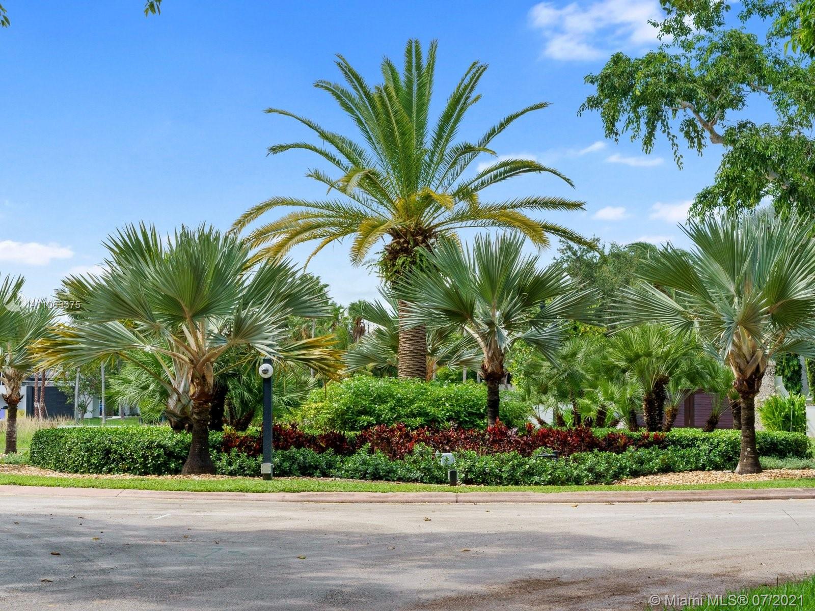 N/A,Prime waterfront villa lot with lush palm trees in Coral Gables, Miami, Florida