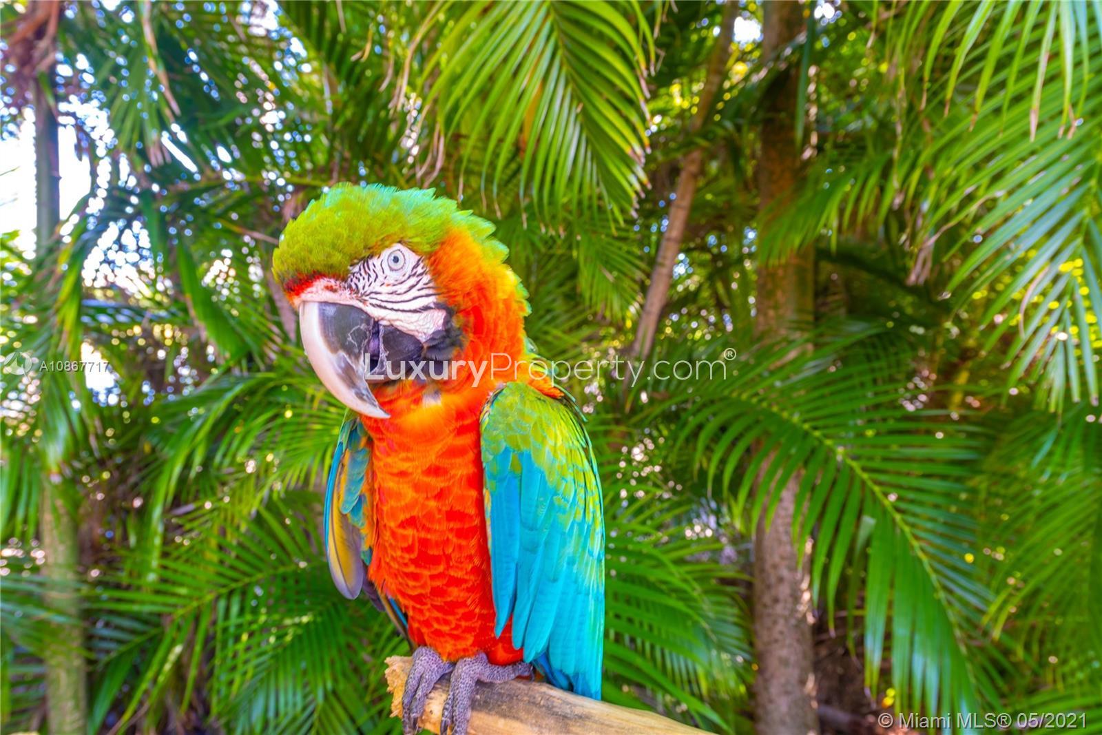 Beachfront view near 4-bed villa, Miami Beach, Fisher Island Drive, Florida