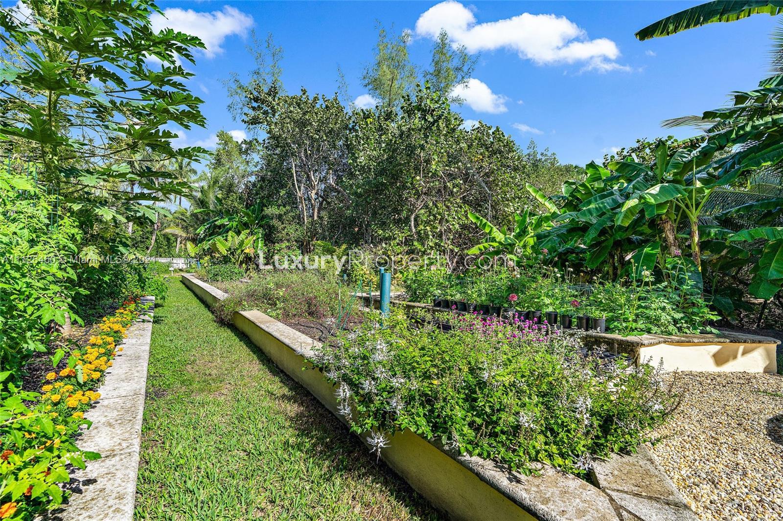 Lush garden with tropical plants at 488 S Beach Rd villa in Hobe Sound, Florida