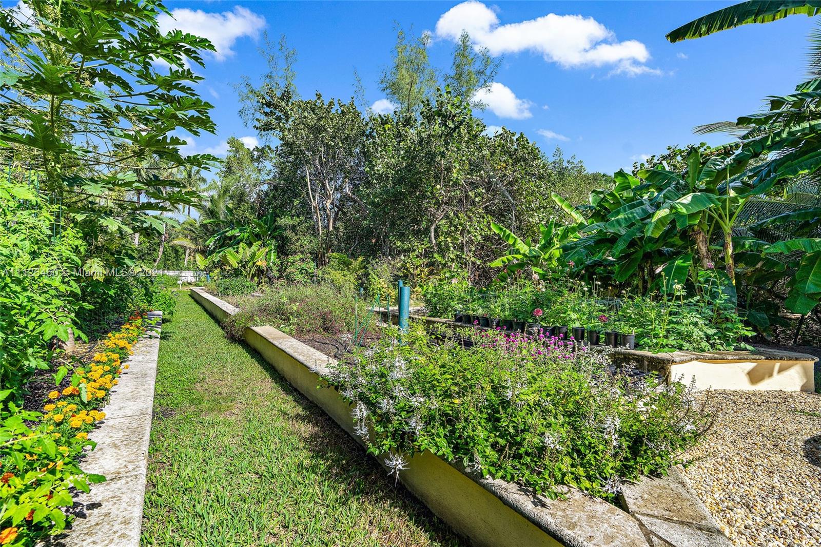 Lush garden with tropical plants at 488 S Beach Rd villa in Hobe Sound, Florida