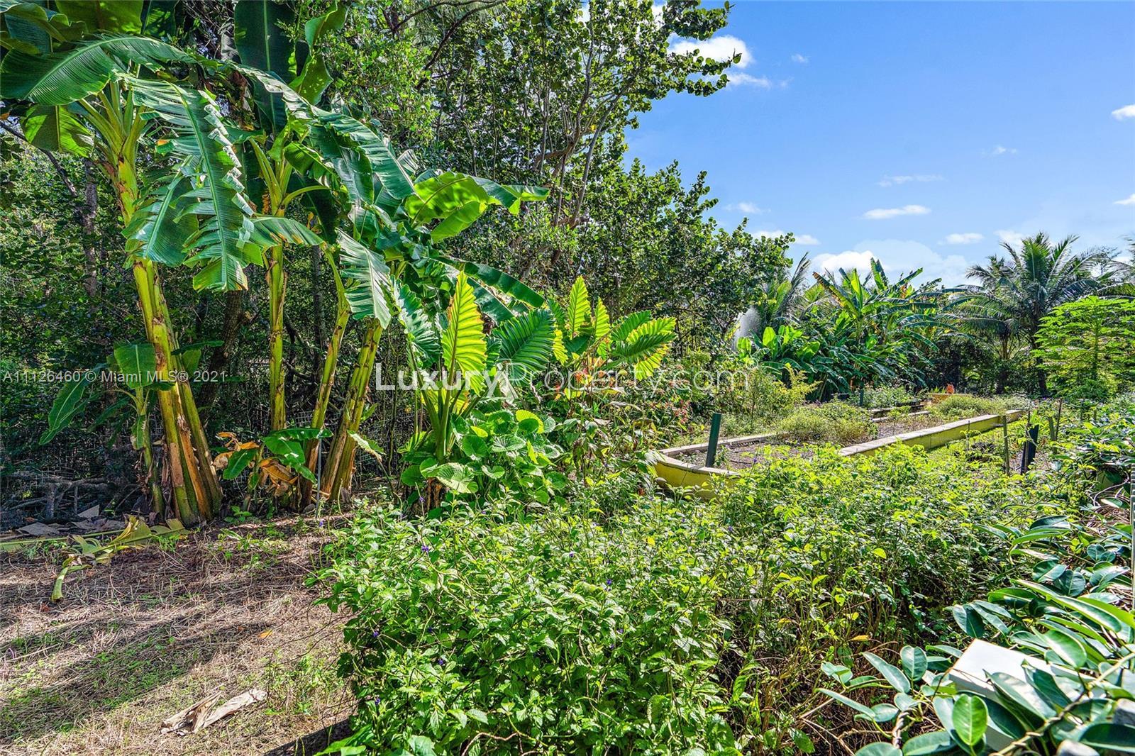 Lush tropical garden at 488 S Beach Rd villa, Hobe Sound, Florida