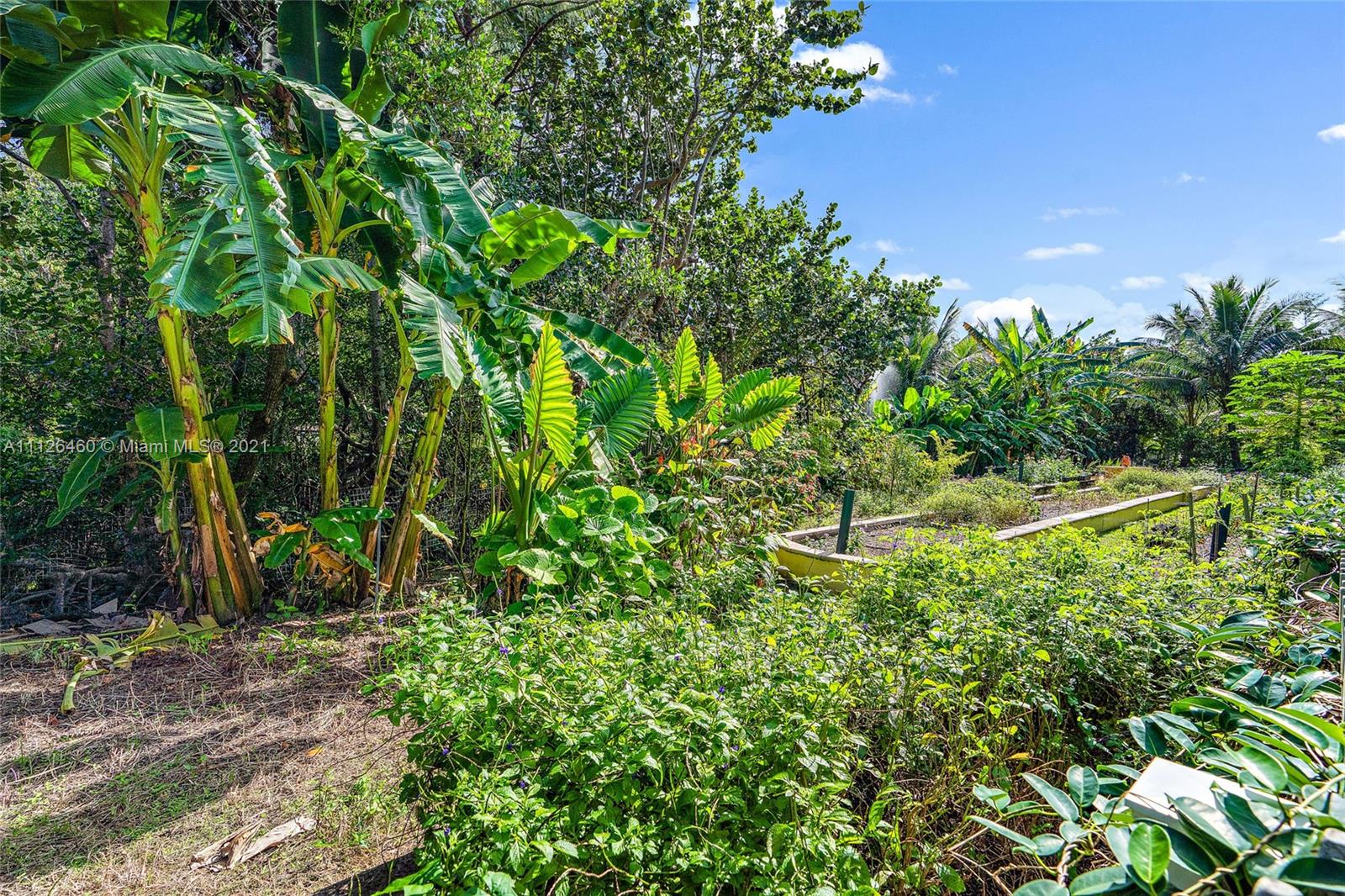 Lush tropical garden at 488 S Beach Rd villa, Hobe Sound, Florida