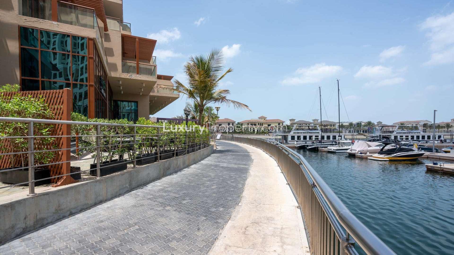 Luxurious Palm Jumeirah studio apartment with stunning marina views and modern amenities for rent